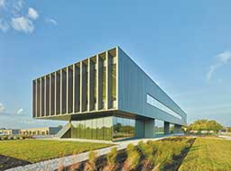 Contrast in Figure & Colour