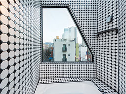 Bringing Order to Randomness