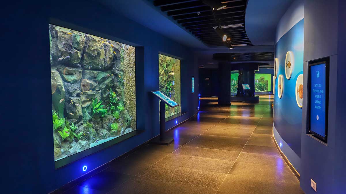 Aquatic Gallery: Merging Science Education with Entertainment
