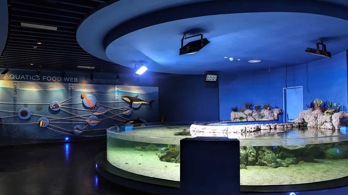 Aquatic Gallery: Merging Science Education with Entertainment