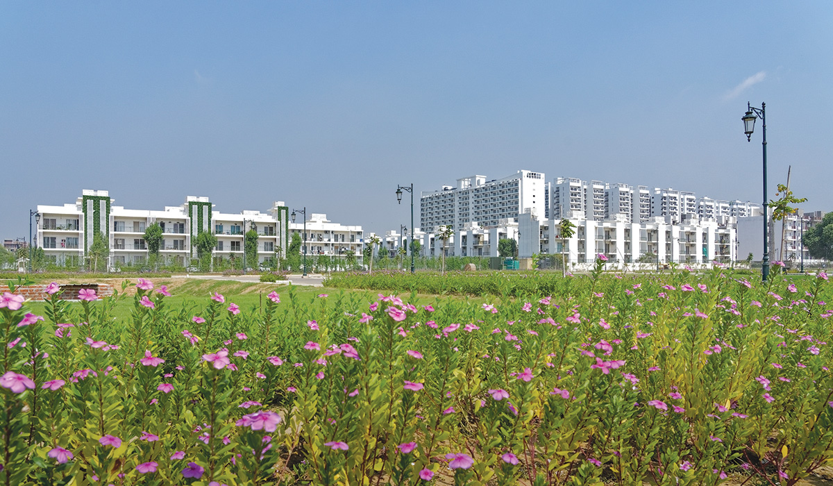 the concept of Green Living that integrates nature into homes