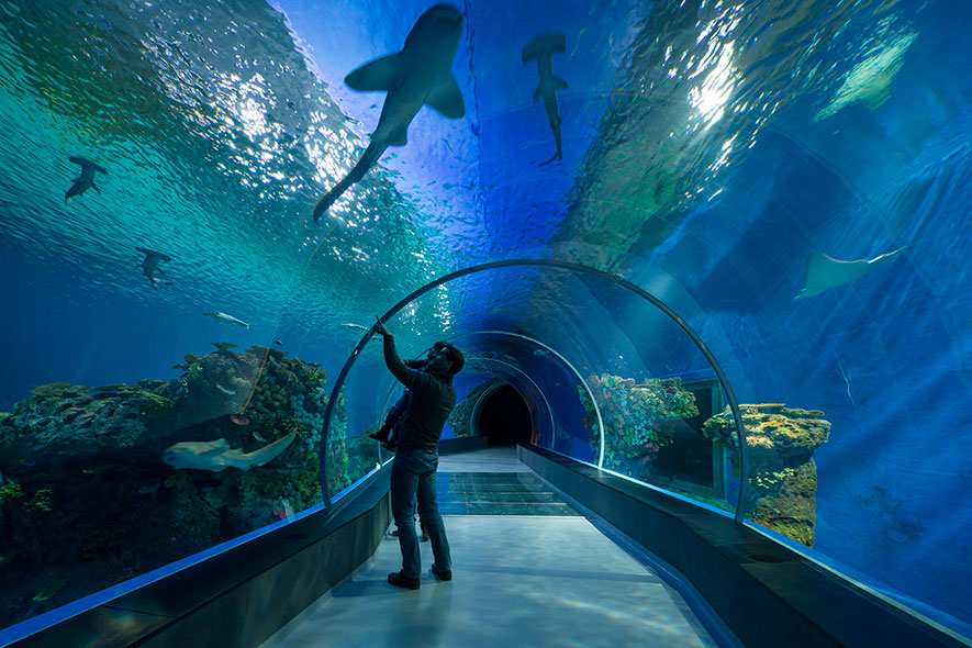 Modern National Aquarium