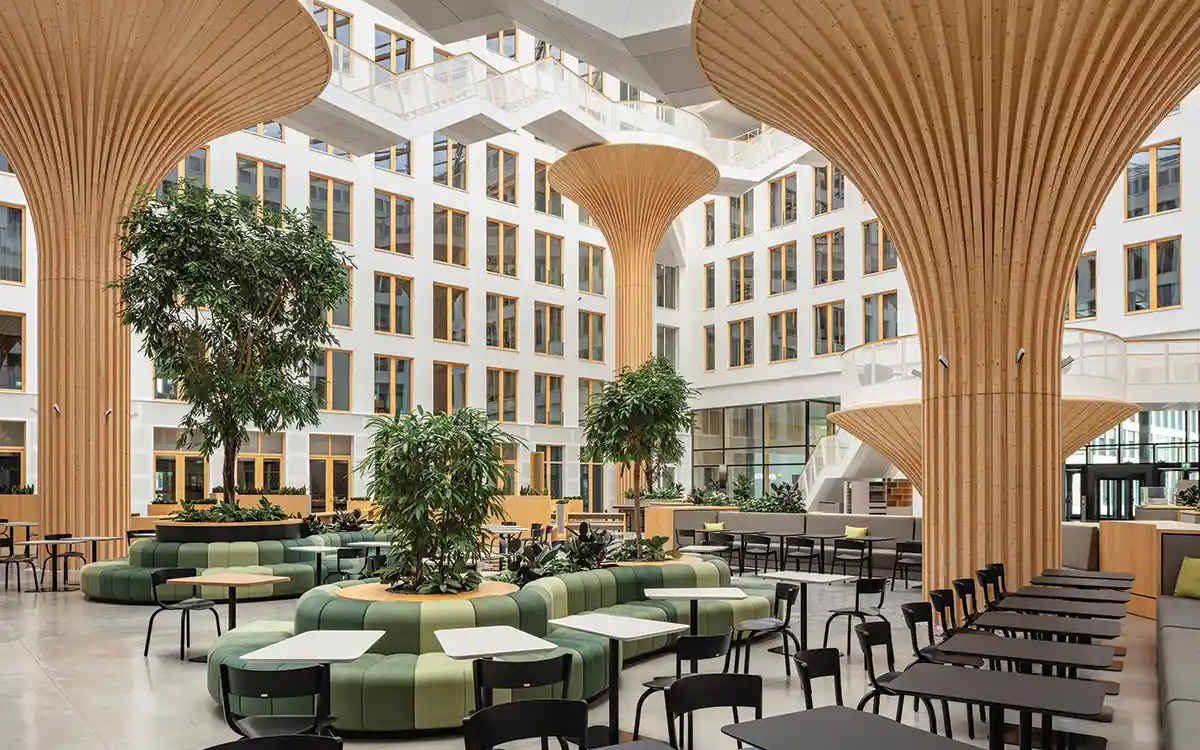 Timber-Hybird-Office