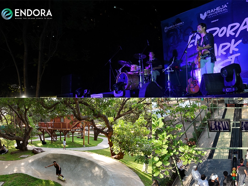 Endora-Park-Fest