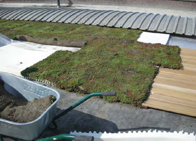 Green Roof Solution