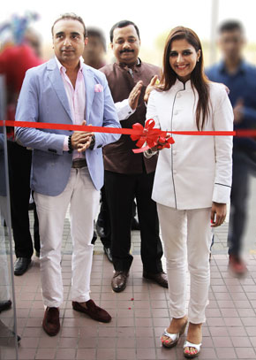 CRYSIL Display Gallery