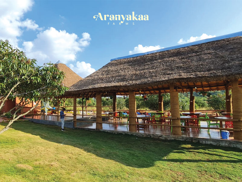 Aranyakaa Farms Achieves up to 75% Increase in Farmland Value over Three Years